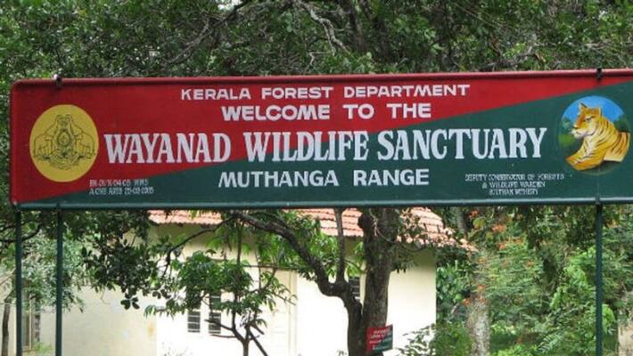 Move to declare eco-sensitive zones around Wayanad Wildlife Sanctuary flayed Move to declare eco-sensitive zones around Wayanad Wildlife Sanctuary flayed