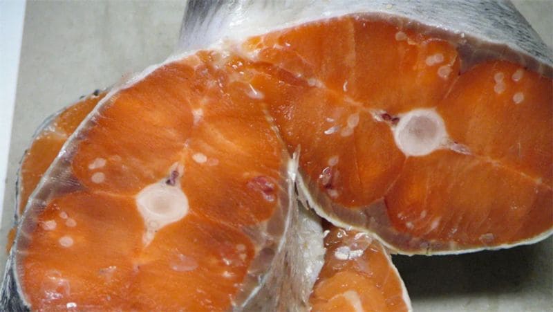 फार्म्ड सैल्मन मछली
यदि आप खेती की गई सैल्मन फिश का सेवन कर रहे हैं और आपको लगता है कि आप हेल्दी खाना खा रहे हैं, तो हम आपको बता दें कि रिसर्च में साबित हुआ है कि खेती की गई सैल्मन कैंसर के विकास के जोखिम को बढ़ाती है, क्योंकि आजकल मछली की बढ़ती मांग को देखते हुए इसे पानी की टंकियों में पाला जा रहा है। उन्हें एंटीबायोटिक्स से भरी डाइट दी जाती है ताकि वे बीमारियों से बची रहें। यही एंटीबायोटिक्स हमारे शरीर के अंदर पहुंचकर कैंसर की वजह बन जाते हैं।