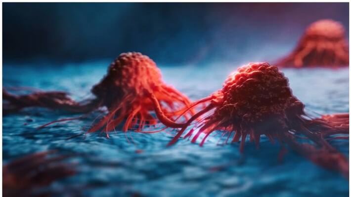 foods that can help lower your cancer risk foods that can help lower your cancer risk
