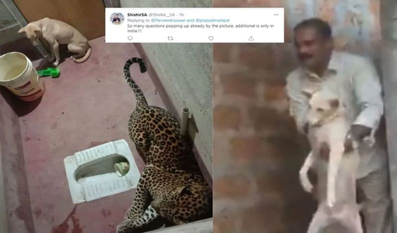 गांव वालों ने फिर पुलिस और वन विभाग को इसकी जानकारी दी। सात घंटे तक रेस्क्यू ऑपेरशन चला। लोगों को पूरी उम्मीद थी कि इस दौरान तेंदुआ अंदर कुत्ते को खा चुका होगा। 