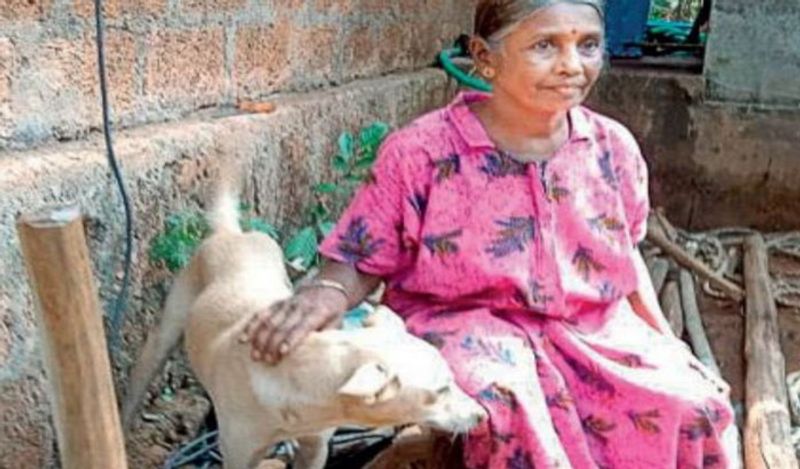 लेकिन तेंदुए ने ऐसा नहीं किया। वो बिना कुत्ते को खाए ही वहां से भाग निकला। इस मामले ने लोगों को हैरान कर दिया। साथ ही सभी कुत्ते की किस्मत की भी सराहना कर रहे थे जिसने मौत को इतने नजदीक से मात दे दी। 