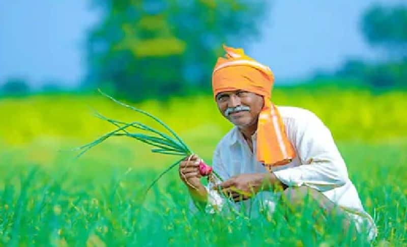 How to get agricultural loan waiver ..? Who benefits in what way ..?