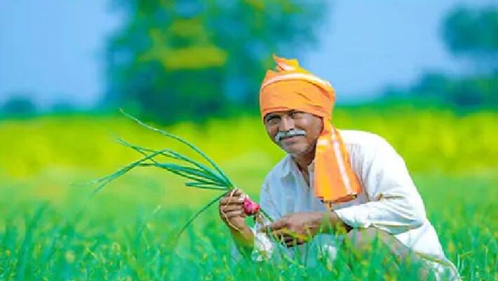 30 lakh farmers will get loan from govt snr 30 lakh farmers will get loan from govt snr