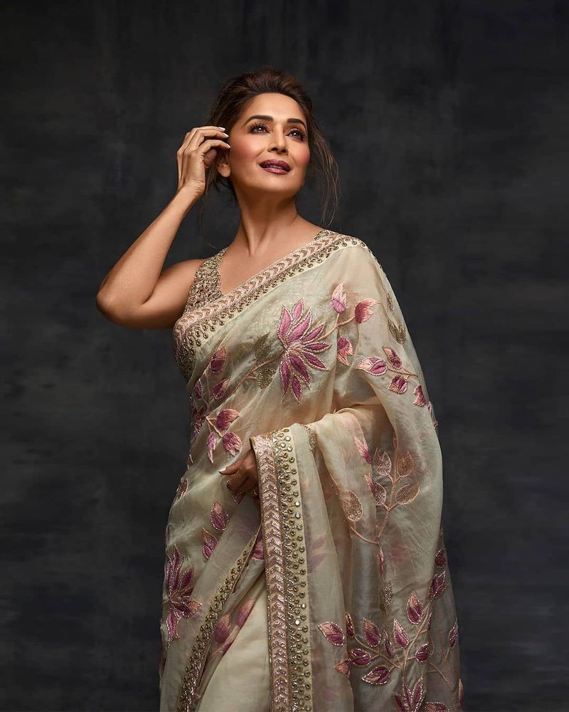 అర్పితా మెహతా ఫ్యాషన్ పుస్తకం కోసం మాధురీ దీక్షిత్ శారీ పోజులు.