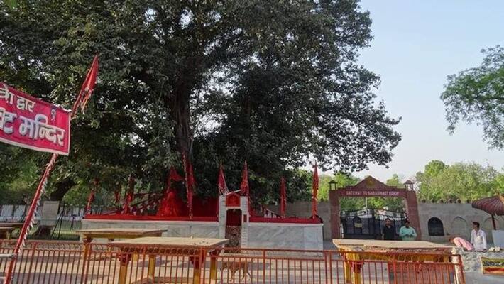 Interesting facts: The price of trees fixed by the Supreme Court based on age kpa Interesting facts: The price of trees fixed by the Supreme Court based on age kpa