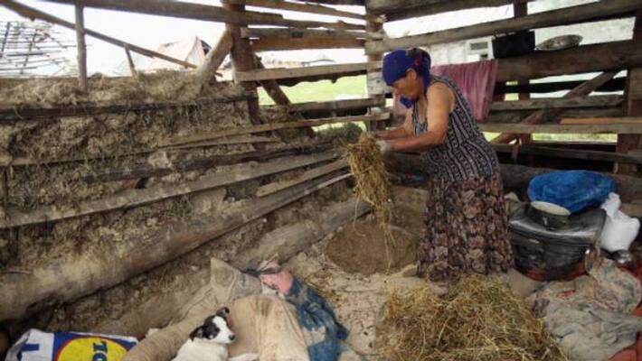 life of roma community in European countries life of roma community in European countries