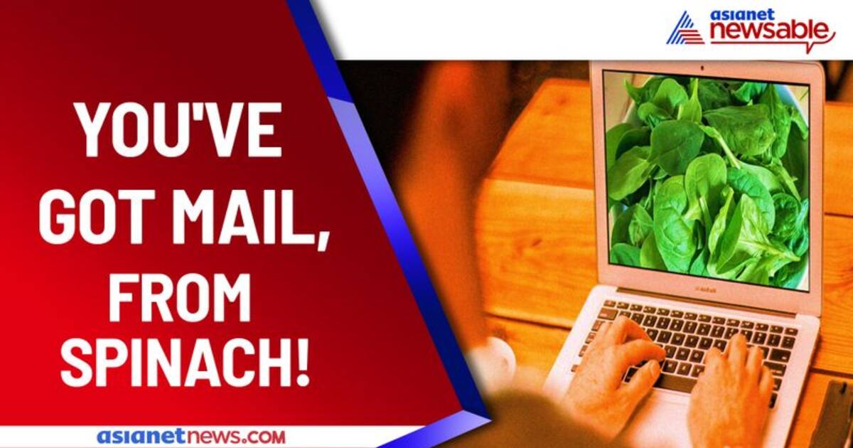 Scientists at MIT 'teach' spinach to send emails to help fight climate