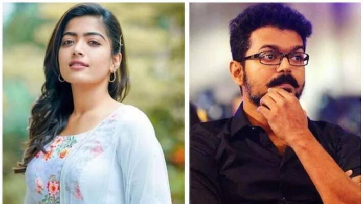 Rashmika Mandanna star in Thalapathy Vijay film Rashmika Mandanna star in Thalapathy Vijay film
