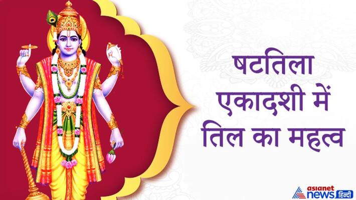 Shattila Ekadashi: Know the importance and use of Til on this day KPI Shattila Ekadashi: Know the importance and use of Til on this day KPI