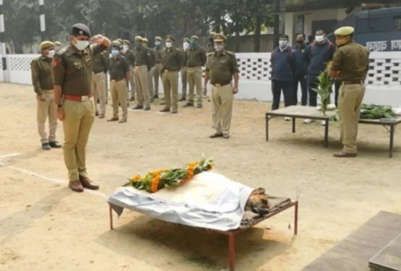 इसी तरह साल 2018 में बुढ़ाना में अवैध संबंधों के चलते हत्या के बाद लाश को बोरे में बंद कर तालाब में फेंक दिया गया था। टिंकी ने वारदात के चंद दिन बाद ही शव बरामद करा दिया था।
फोटो सोर्स अमर उजाला