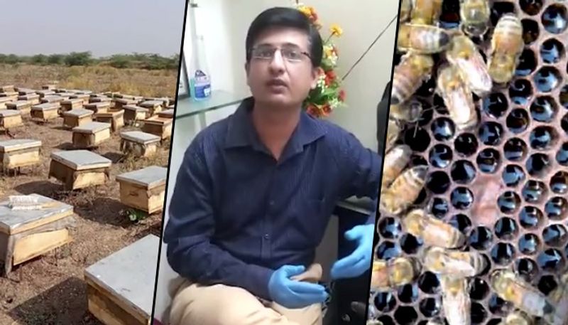 Success story of how a chartered accountant left his job to take up honey business