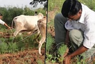 Here is how one can make farming a successful venture