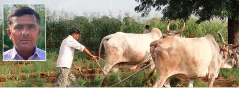 Ishaq Ali from Mehsana in Gujarat, has a farm in a village in Sirohi district of Rajasthan. He is success personified as he has a solution for farming woes.