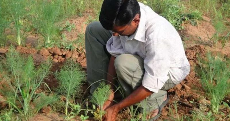 Ishaq, 49, says that as everyone knows about the common farmers, his family was also struggling with financial troubles. For this reason, they could not study beyond 12th grade.