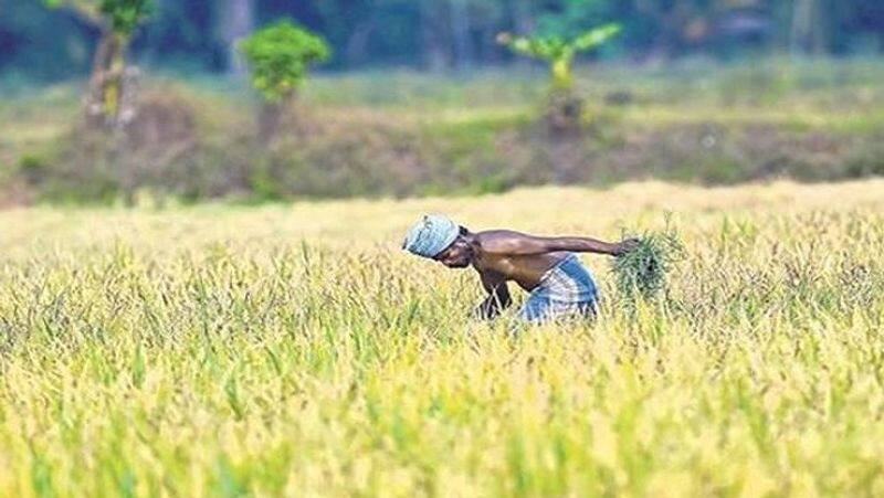 TN Budget Allocate agricultural department for Rs.11894 cores