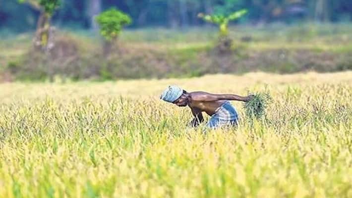 RS 1 lakh Loan Waivings of Covid victim farmers in Mysuru snr RS 1 lakh Loan Waivings of Covid victim farmers in Mysuru snr