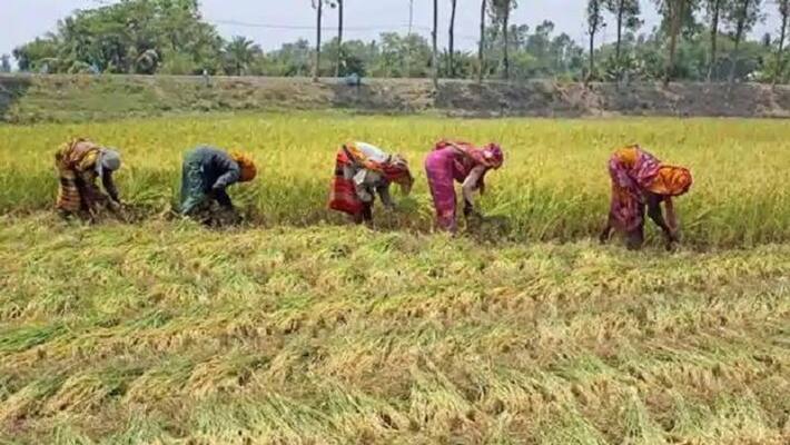 Farmers Selfie and Genealogy Mandatory For Crop Loan in Yadgir grg Farmers Selfie and Genealogy Mandatory For Crop Loan in Yadgir grg