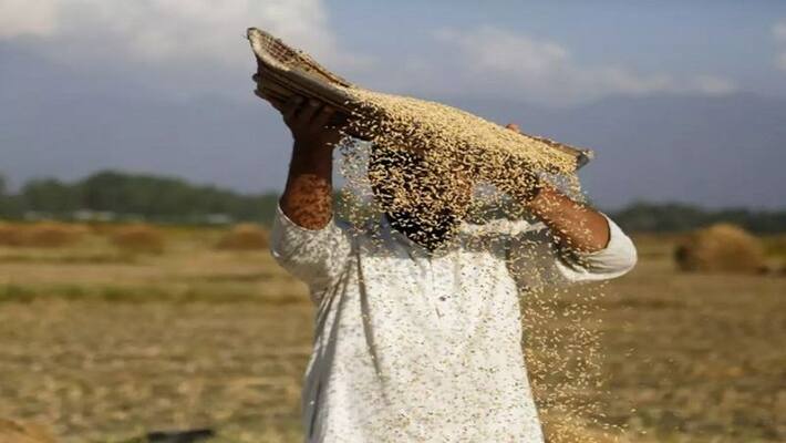 Food Department develops an application ecosystem to benefit the farmers bsm Food Department develops an application ecosystem to benefit the farmers bsm