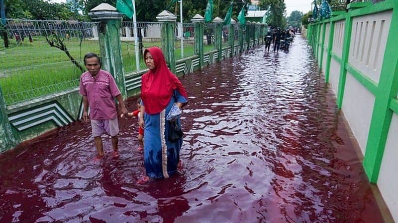 Indonesian village submerged by red water