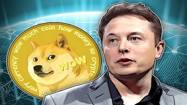 Cryptocurrency Shiba inu boomed after Elon Musk sharing pet dog photo Investors turning away from bitcoin, dodgequin Cryptocurrency Shiba inu boomed after Elon Musk sharing pet dog photo Investors turning away from bitcoin, dodgequin