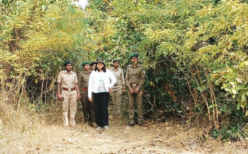 तस्करों के काम करने के तरीके के बारे में बताते हुए वह कहतीं हैं, “कोई भी एजेंट या बिचौलिया इलाके के आदिवासी लोगों से संपर्क करता है और उन्हें पूछता है कि पैंगोलिन कहां मिल सकते हैं। वे कई बार पैंगोलिन के वीडियो व फोटो भी साझा करते हैं। कुछ स्थानीय लोगों को पैंगोलिन के बारे में पता होता है। लेकिन वे यह नहीं जानते कि यह प्रजाति कितने ज्यादा खतरे में है। सभी जानकारी ऑनलाइन साझा की जाती है। ये स्थानीय लोग कुछ चंद हज़ार रुपयों के बदले इन एजेंट को पैंगोलिन लाकर देते हैं। जब विभिन्न राज्यों के एजेंट्स के बीच इन जानवरों का लेन-देन होता है, तो इसकी कीमत लाखों में लगाई जाती है।”