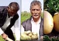 Anything is possible if one has will! Farmer grows potatoes in unsuitable land, enjoys profits