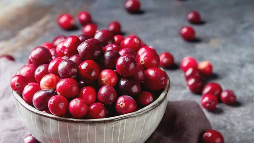 AMAZING HEALTH BENEFITS OF CRANBERRIES AMAZING HEALTH BENEFITS OF CRANBERRIES
