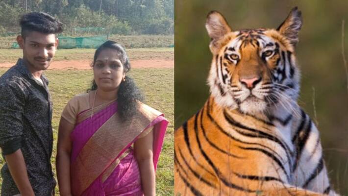 tiger attack family in wayanad tiger attack family in wayanad