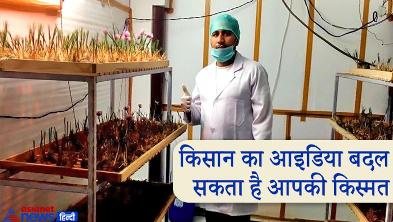 दरअसल, हिसार जिले के कोथकला गांव के रहने वाले दो सगे भाई नवीन और प्रवीण ने अपने 15 * 15 छत पर बने कमरे से केसर की खेती की शुरूआत की थी। दोनों ने मिलकर लॉकडाउन के दिनों में ट्रायल के तौर पर यह नया काम शुरू किया था। अब वह ऐयरोफोनिक विधि से केसर उगा कर लगभग 6 से 9 लाख की कमाई कर रहे हैं।
