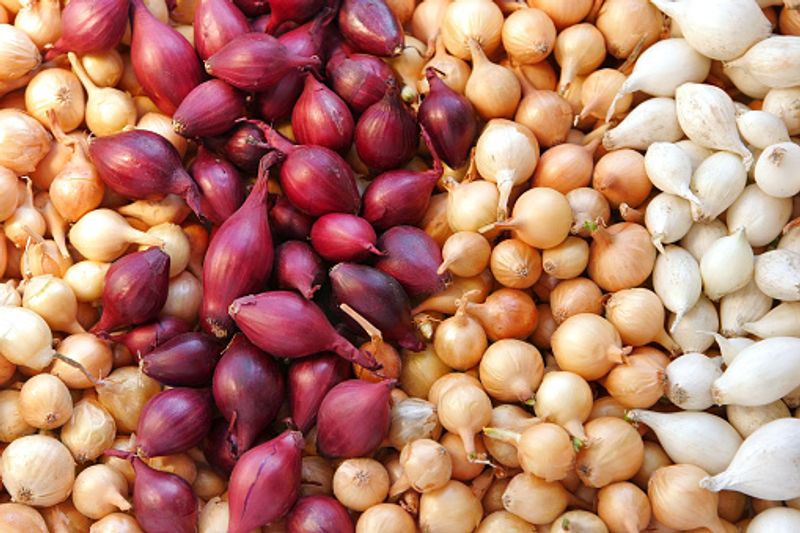 Nutritional Profile: There isn't any huge difference between the two types with respect to calories. Onions, in general, are low in calories and therefore, all types can safely be included in the diet. The nutritional profile of both types of onions remains more or less the same. Both contain almost the same amount fibre and other nutrients like flavonoids, Vitamin C, calcium, phosphorous and potassium.
