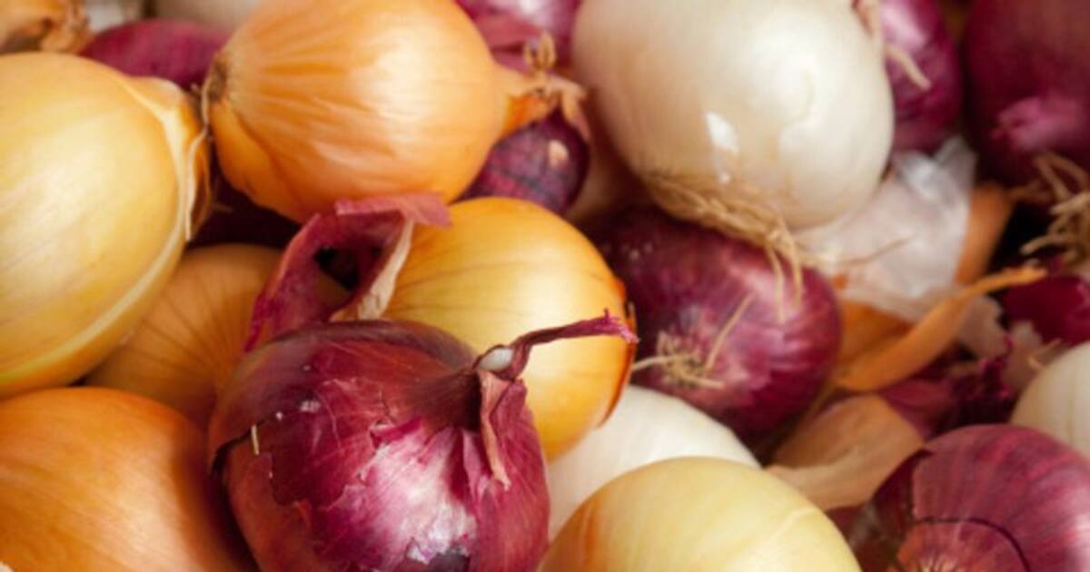 red-vs-white-onions-do-they-really-have-any-difference