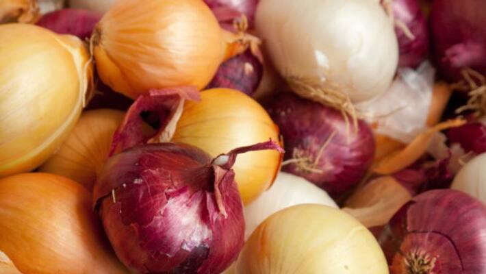 salmonella outbreak in usa administration is cautious about onions bsm salmonella outbreak in usa administration is cautious about onions bsm