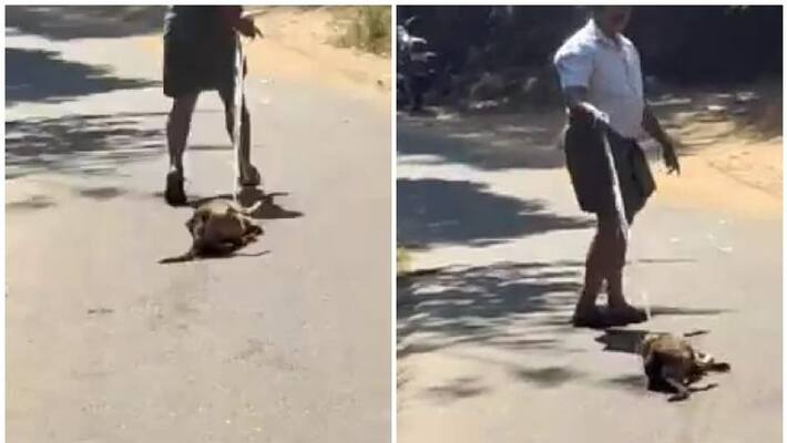 Dog Dragged On Streets In Idukki Dog Dragged On Streets In Idukki