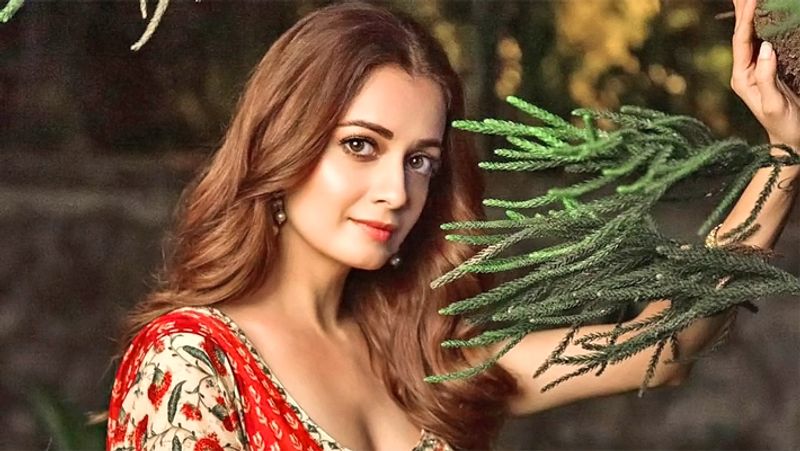मिस एशिया पैसेफिक रह चुकीं दीया को फिल्म 'रहना है तेरे दिल में' से पहचान मिली थी। इसमें उनके साथ आर माधवन और सैफ अली खान ने काम किया था। 