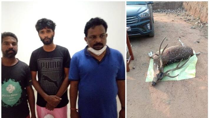 hunters caught by forest guard in wayanad hunters caught by forest guard in wayanad