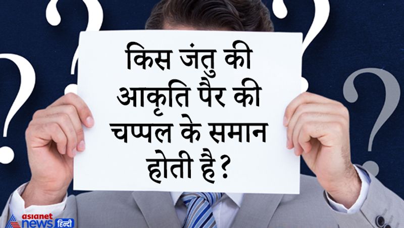 सवाल. मांसपेशियों में किस अम्ल के एकत्रित होने से थकावट आती है ?
जवाब: - लैक्टिक अम्ल
