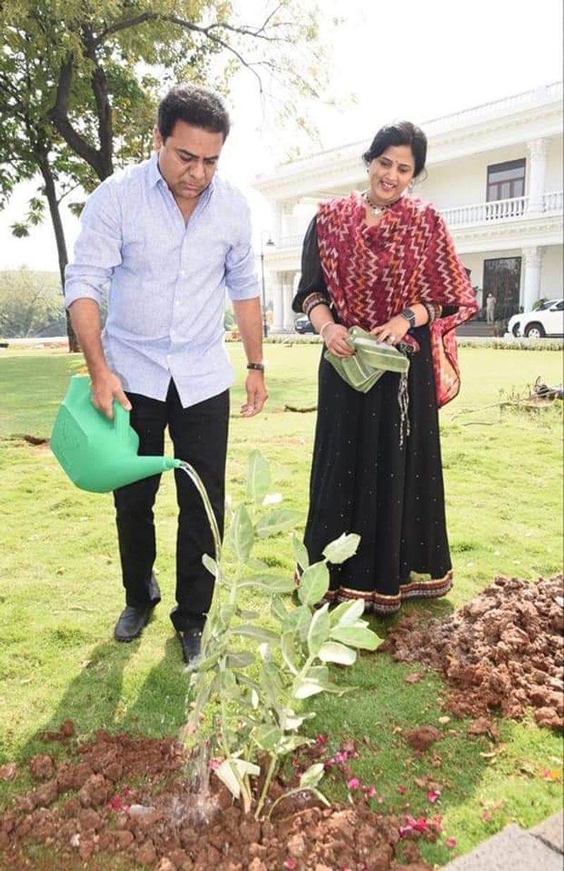 మొక్కకు నీరు పోయిస్తున్న మంత్రి కేటీఆర్
