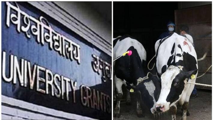 make students write cow science exam directs UGC to the University Vice Chancellors make students write cow science exam directs UGC to the University Vice Chancellors