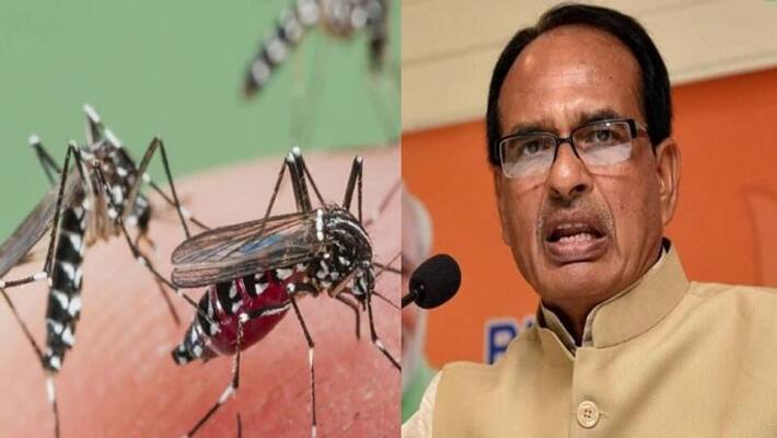 CM Shivraj Singh could not sleep overnight, mosquitoes disturbed, morning engineer suspended, DM-SP on rada asa CM Shivraj Singh could not sleep overnight, mosquitoes disturbed, morning engineer suspended, DM-SP on rada asa