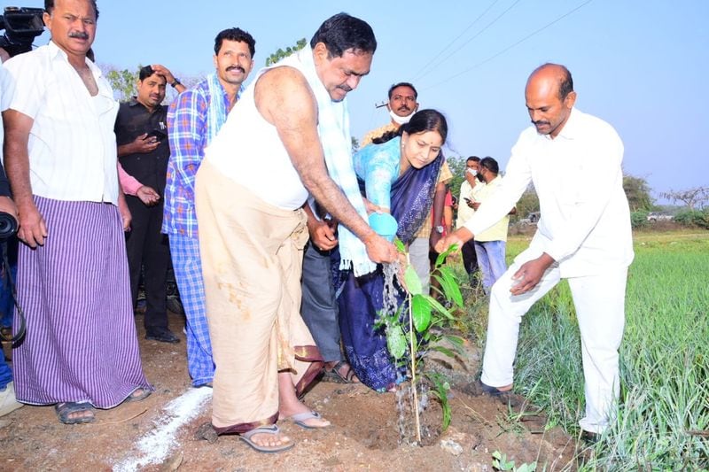 అలాగే సిఎం కేసిఆర్ జన్మదినం సందర్భంగా ఎంపీ జోగినపల్లి సంతోష్ కుమార్ గ్రీన్ ఛాలెంజ్ లో చేపట్టిన కోటి వృక్షార్చన కార్యక్రమంలో భాగంగా తాను పల్లె నిద్ర చేసిన హనుమాన్ తండాలో ప్రజలందరి తో కలిసి వందలాది మొక్కలను మంత్రి ఎర్రబెల్లి దయాకర్ రావు నాటారు. తండాలోని పల్లె ప్రకృతి వనం, స్మశాన వాటిక, డంపింగ్ యార్డు, నర్సరీలను సందర్శించారు. వాటి నిర్మాణాలు బాగున్నాయని అభినందించారు.