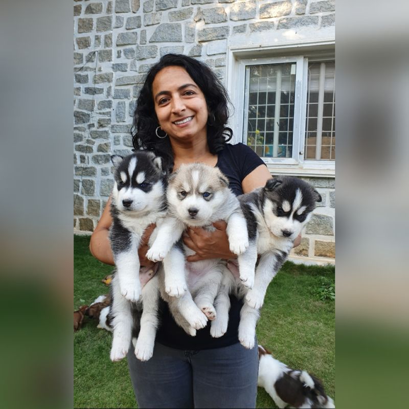 Meet Yashodhara India's most-reputed dog breeder, on 'ethical breeding;, nurturing animals-SYT