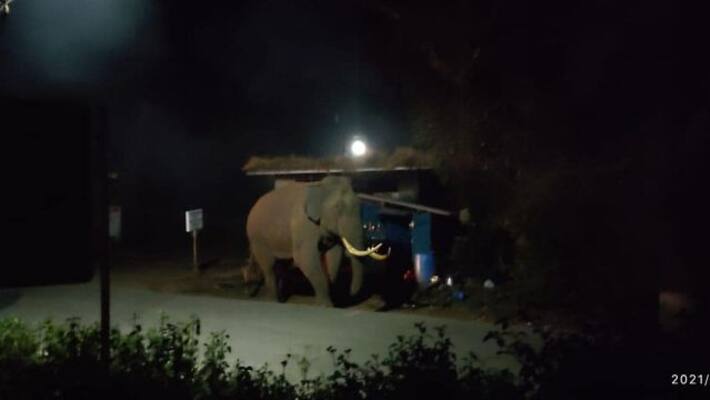 Ouseppes shop was destroyed in the elephant attack Ouseppes shop was destroyed in the elephant attack