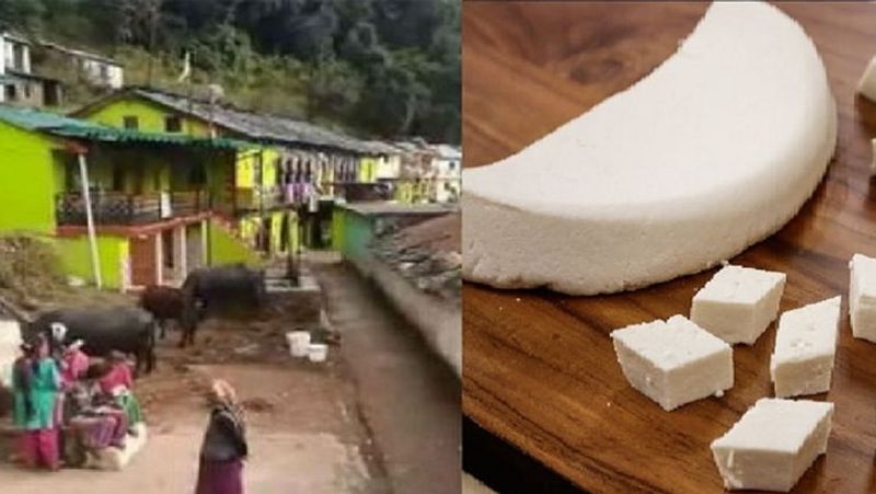 छोटी सी आबादी वाले इस गांव के लोगों के हाथों का बना पनीर मसूरी ही नहीं बल्कि देहरादून और दिल्ली तक के लोगों को बहुत पसंद आता है। शुरुआत में पनीर उत्पादन का काम गांव के 35 से 40 परिवार ही करते थे, लेकिन अब गांव के सभी परिवार इस बनाने का काम करते है और रोजाना 2 से 4 किलो तक पनीर बना लेते हैं।
