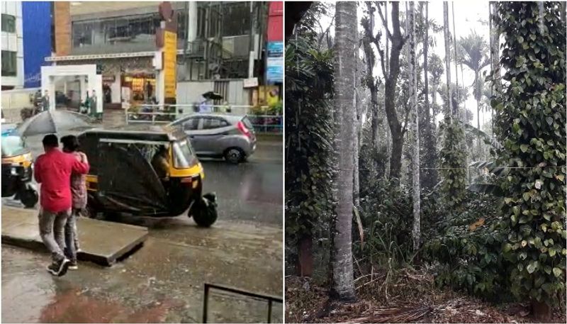 <p> ৪ তারিখ হাওড়া,হুগলি, দুই ২৪ পরগনা, ২ মেদিনীপুর সহ উপকূলীয় জেলাগুলোতে বৃষ্টি হবে। </p>