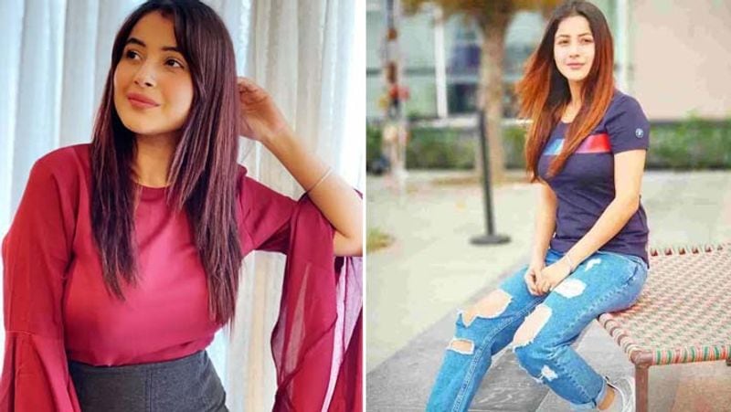 Shehnaaz Gill rose to immense popularity after Bigg Boss 13. Her equation with Sidharth Shukla on the show was talk of the town. 