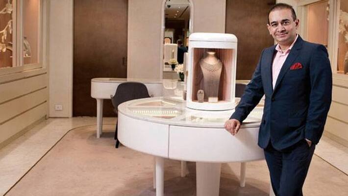PNB scam case UK judge rules Nirav Modi can be extradited to India KPP PNB scam case UK judge rules Nirav Modi can be extradited to India KPP