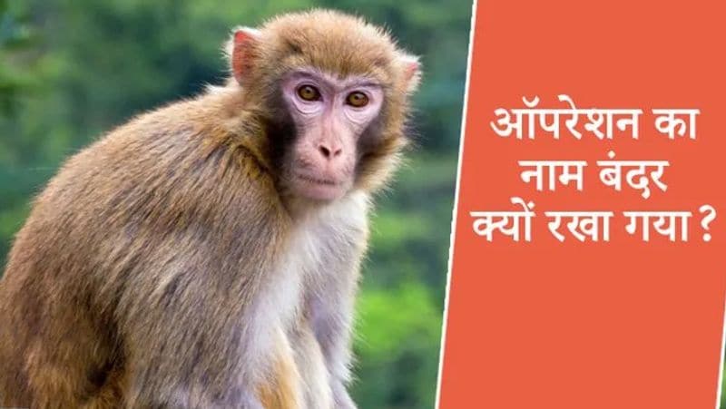<p><strong>क्या था 'बंदर'?</strong><br />
उन्होंने बताया, यह ऑपरेशन की सफलता बताने के लिए कोड वर्ड रखा गया था। 25 फरवरी को मेरी फेयरवेल चल रही थी। उस वक्त वायुसेना प्रमुख बीएस धनोआ ने मुझसे अकेले में पूछा कि सब कुछ ठीक चल रहा है। उन्होंने कहा, ऑपरेशन सफल हो जाए और सभी सुरक्षित लौट आएं तो कॉल करके 'बंदर' कहना। बंदर को सफल मिशन का कोडवर्ड रखा गया था।</p>