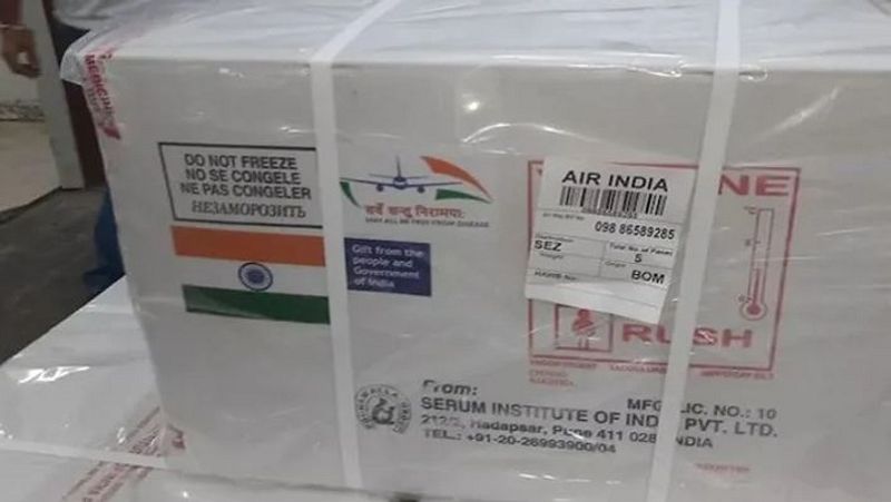 कोवैक्स वैक्सीन अलायंस में गावी (Gavi) का सहयोग प्रमुख है। यह उसकी लीडरशिप में शामिल है। इसके अलावा वर्ल्ड हेल्थ ऑर्गनाइजेशन, कोलिएशन फॉर एपिडेमिक प्रीप्रेयरर्डनेस इनोवेशन्स और यूनिसेफ इसके वर्किंग पार्टनर हैं। कोवैक्स मिशन का मकसद इस महामारी के पीड़ितों को तत्काल वैक्सीन की सुविधा मुहैया कराना है।