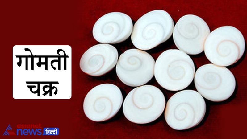 1. गोमती चक्र
कुछ ज्योतिषीय प्रयोगों में एक ऐसे पत्थर का उपयोग किया जाता है, जो दिखने में साधारण होता है, लेकिन आश्चर्यजनक तरीके से अपना प्रभाव दिखाता है। उस पत्थर का नाम है गोमती चक्र। गोमती चक्र कम कीमत वाला एक ऐसा पत्थर है जो गोमती नदी में मिलता है।