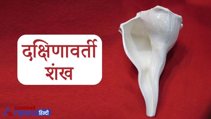 3. दक्षिणावर्ती शंख
ज्योतिष शास्त्र में दक्षिणावर्ती शंख का विशेष महत्व है। इस शंख को विधि-विधान पूर्वक घर में रखने से कई प्रकार की बाधाएं शांत हो जाती है और धन की भी कभी कमी नहीं होती। दक्षिणावर्ती शंख के अनेक लाभ हैं, लेकिन इसे घर में रखने से पहले इसका शुद्धिकरण अवश्य करना चाहिए।
4. कमलगट्टा
धन प्राप्ति के लिए किए जाने वाले ज्योतिषीय उपायों में कई वस्तुओं का उपयोग किया जाता है, कमल गट्टा भी उन्हीं में से एक है। कमल गट्टा कमल के पौधे में से निकलते हैं व काले रंग के होते हैं। यह बाजार में आसानी से मिल जाते हैं।
5. मोती शंख
ज्योतिष शास्त्र के अनुसार मोती शंख एक विशेष प्रकार का शंख होता है, ये आम शंख से थोड़ा अलग दिखाई देता है और थोड़ा चमकीला भी होता है। इस शंख को विधि-विधान से पूजन कर यदि तिजोरी में रखा जाए तो घर, कार्यस्थल, व्यापार स्थल और भंडार में पैसा टिकने लगता है।